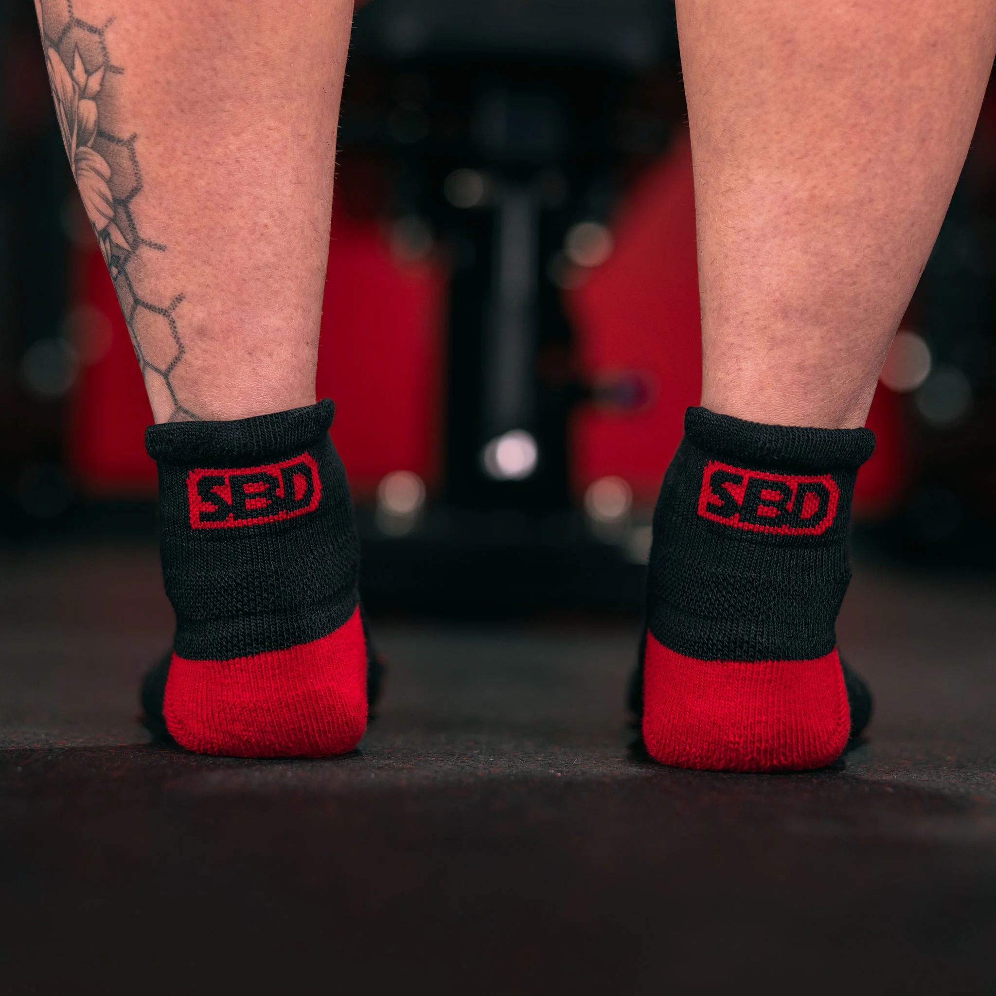 SBD Trainer Socken - Image 3